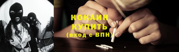 трава Лабытнанги