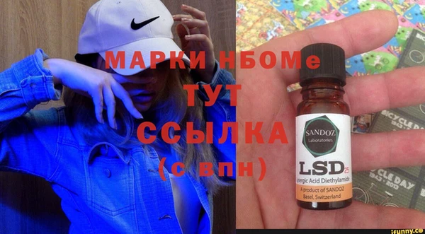 шишки Куйбышев